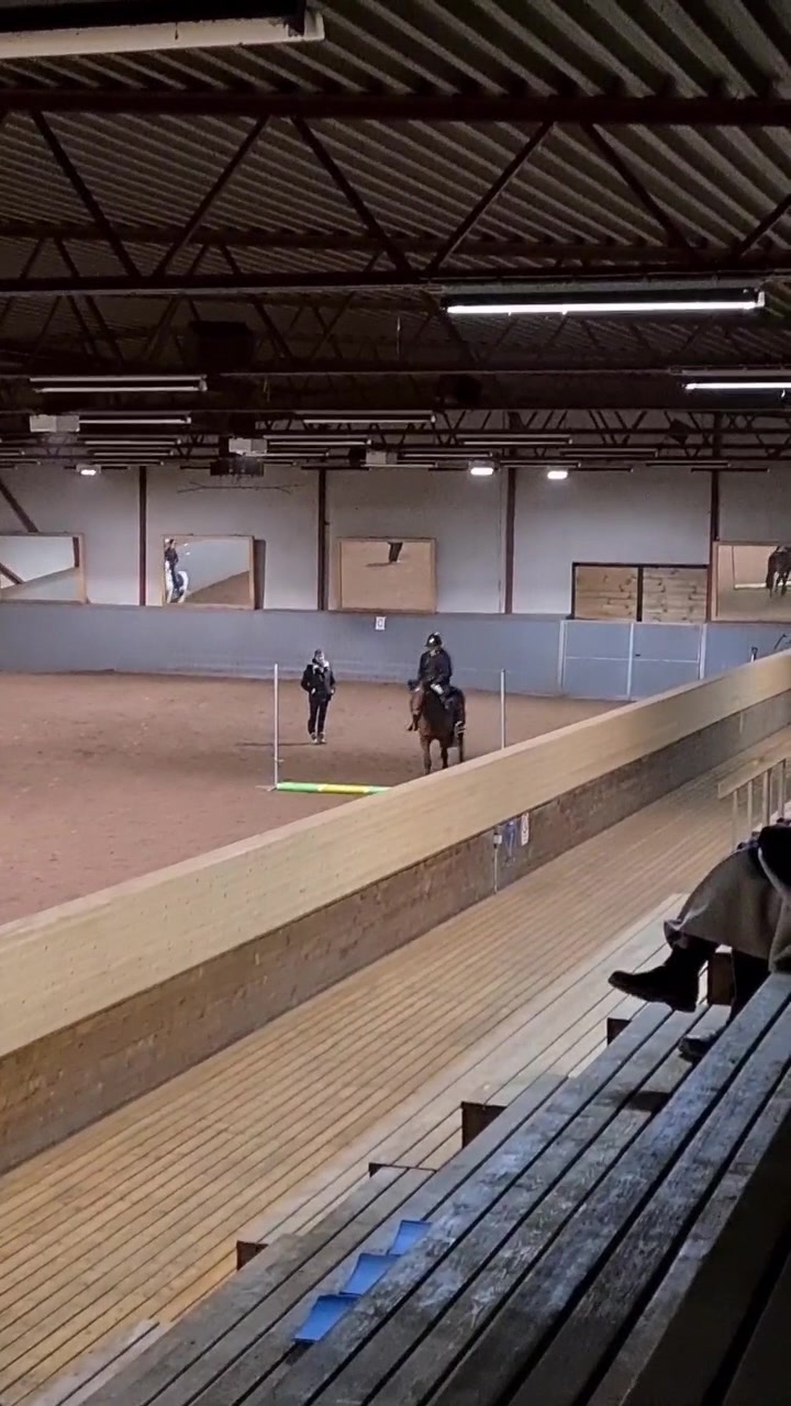 @🐎Ridning🐎 {3,8K}
