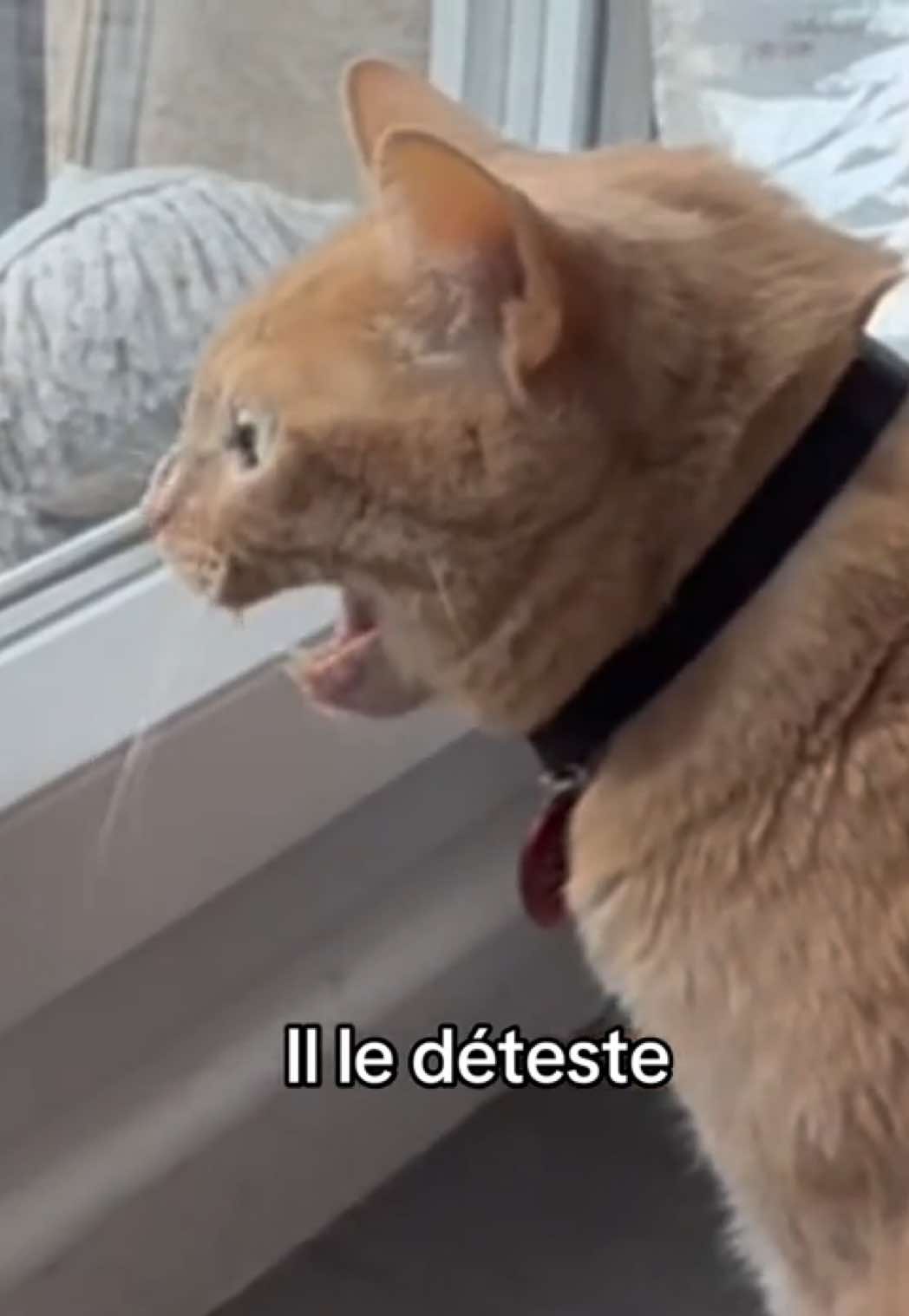 @Yamina’s Life