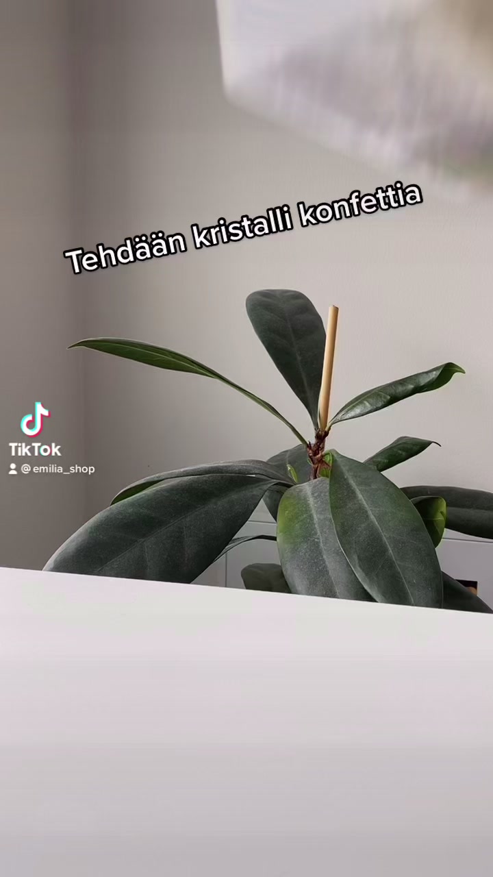 @Pienyritt&auml;j&auml;