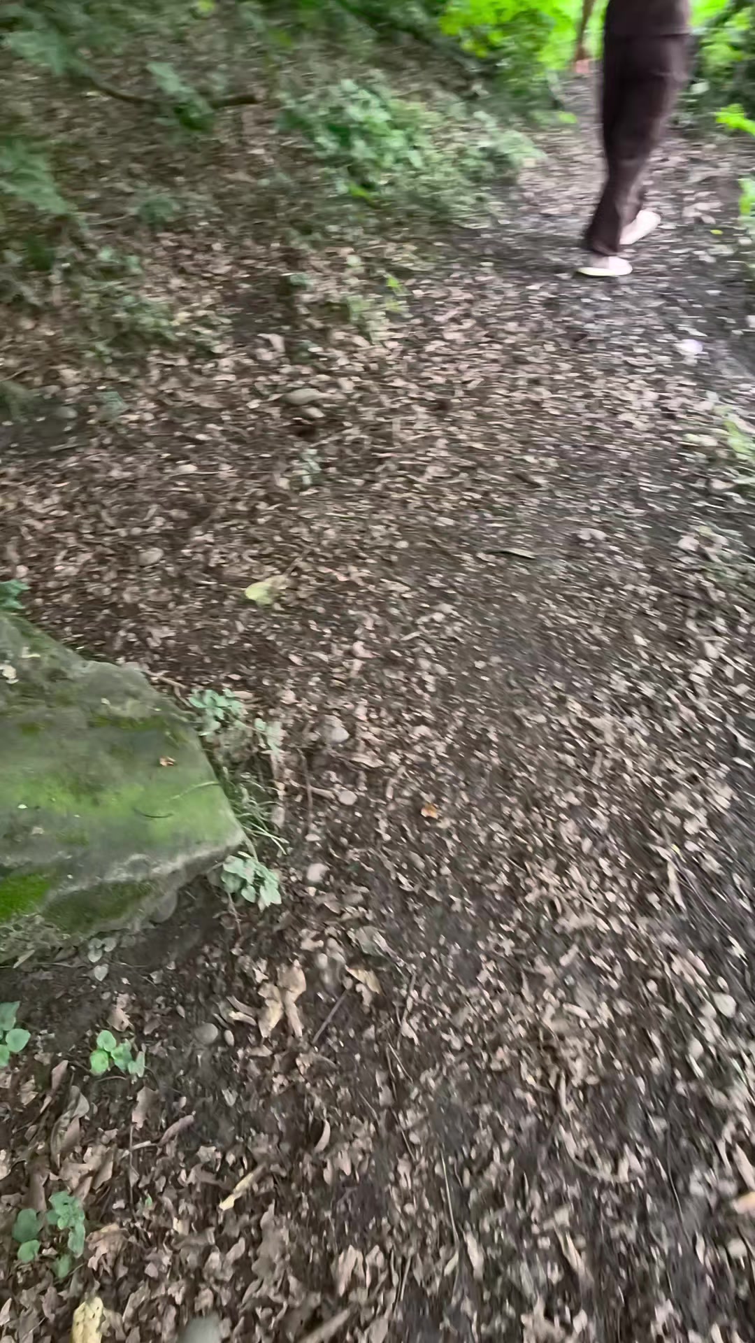 @tiktok