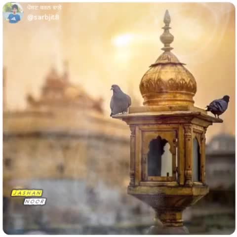 @pb_65