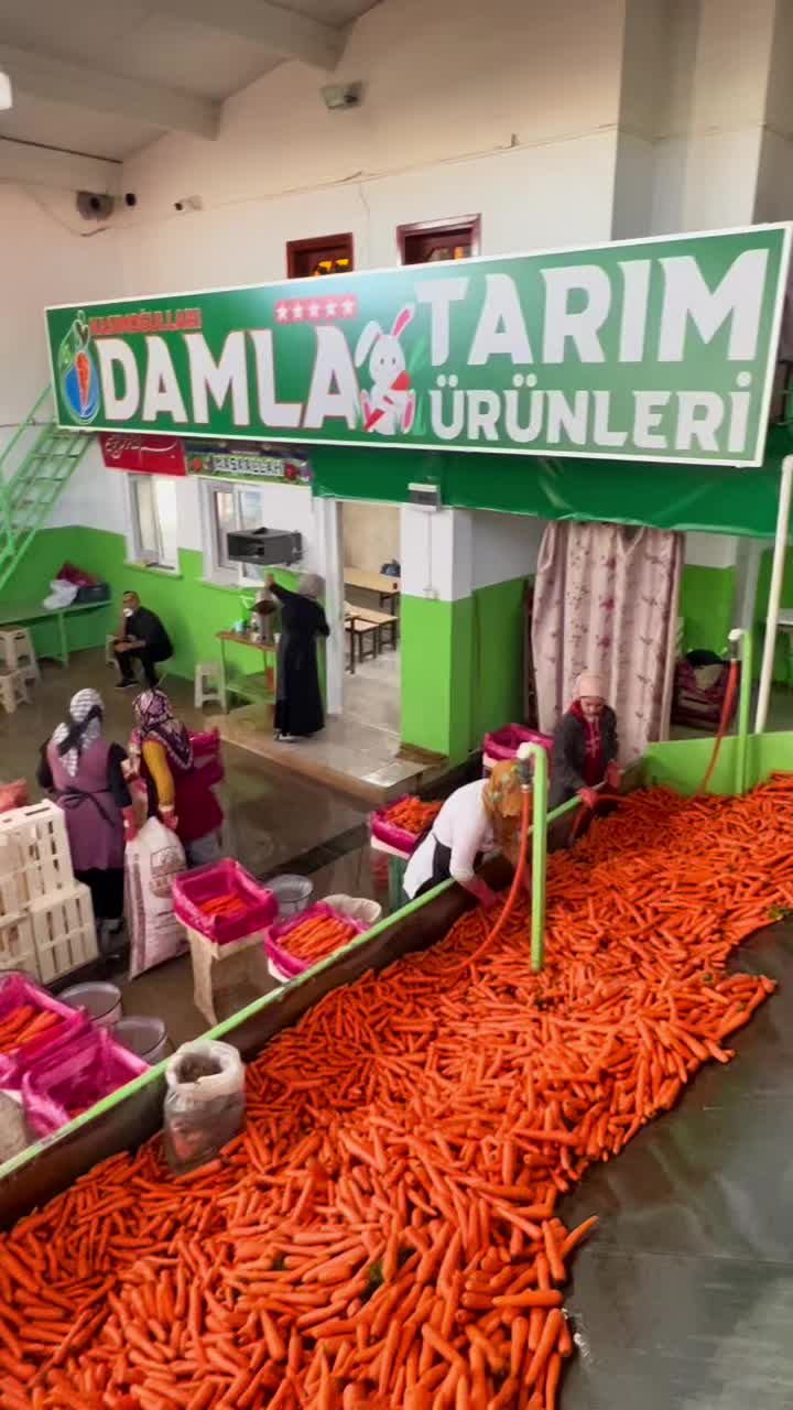 @Kasım Sarıbacak
