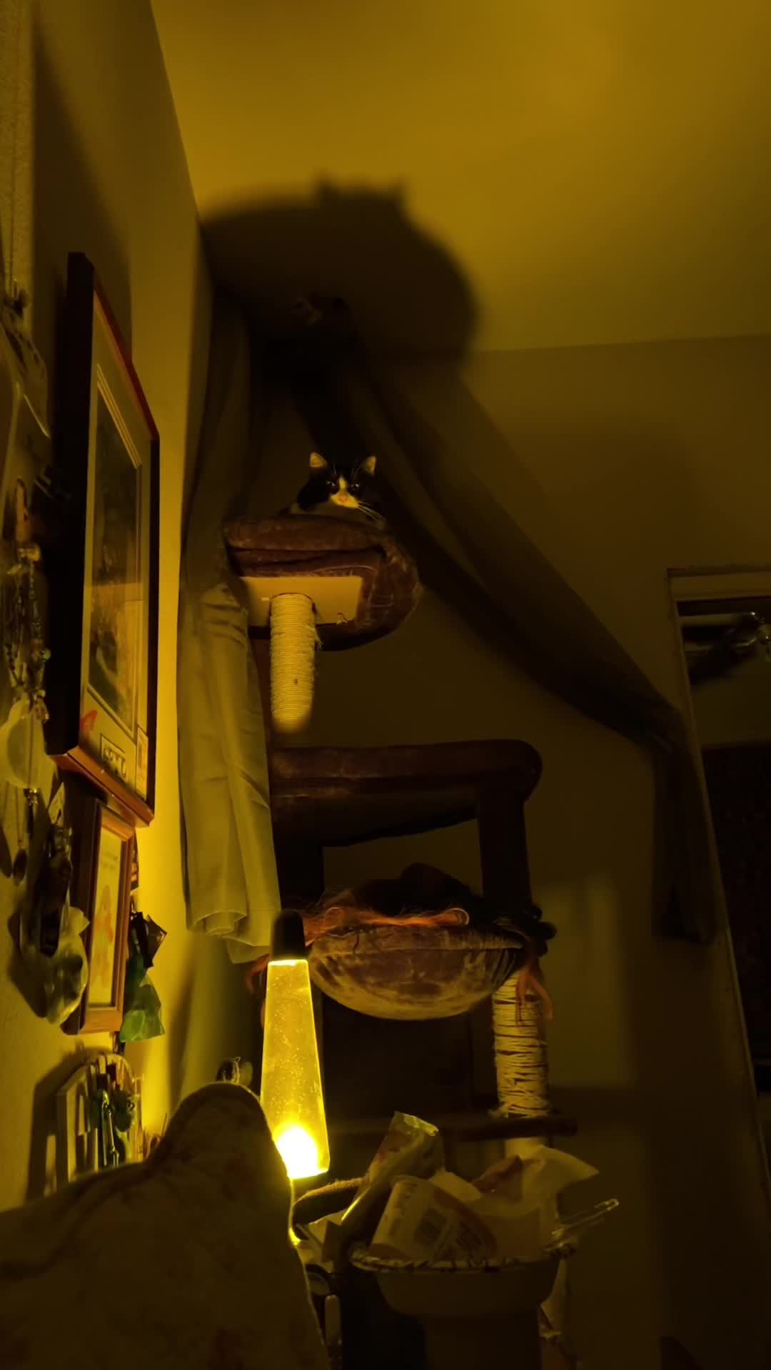@ⴵ