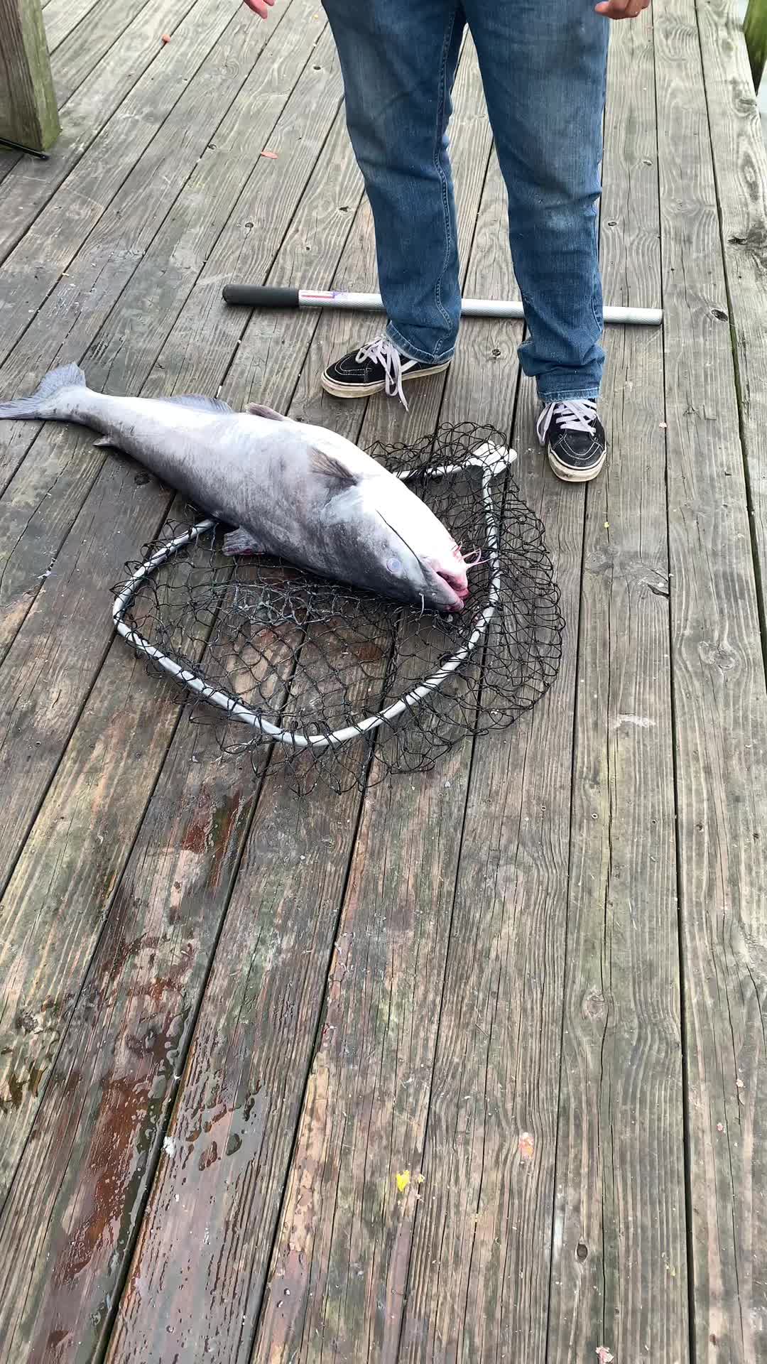 @FishBoyFlaco