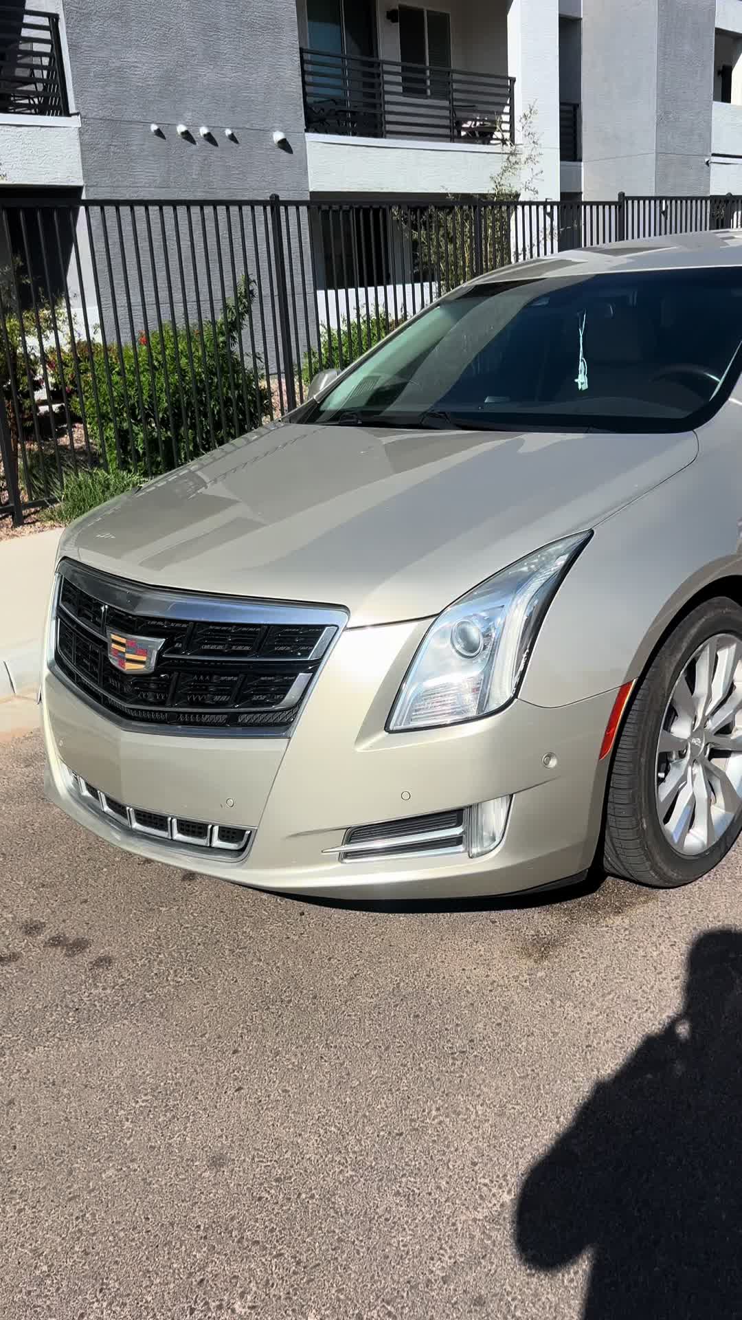 @dirtyhandsdetailing