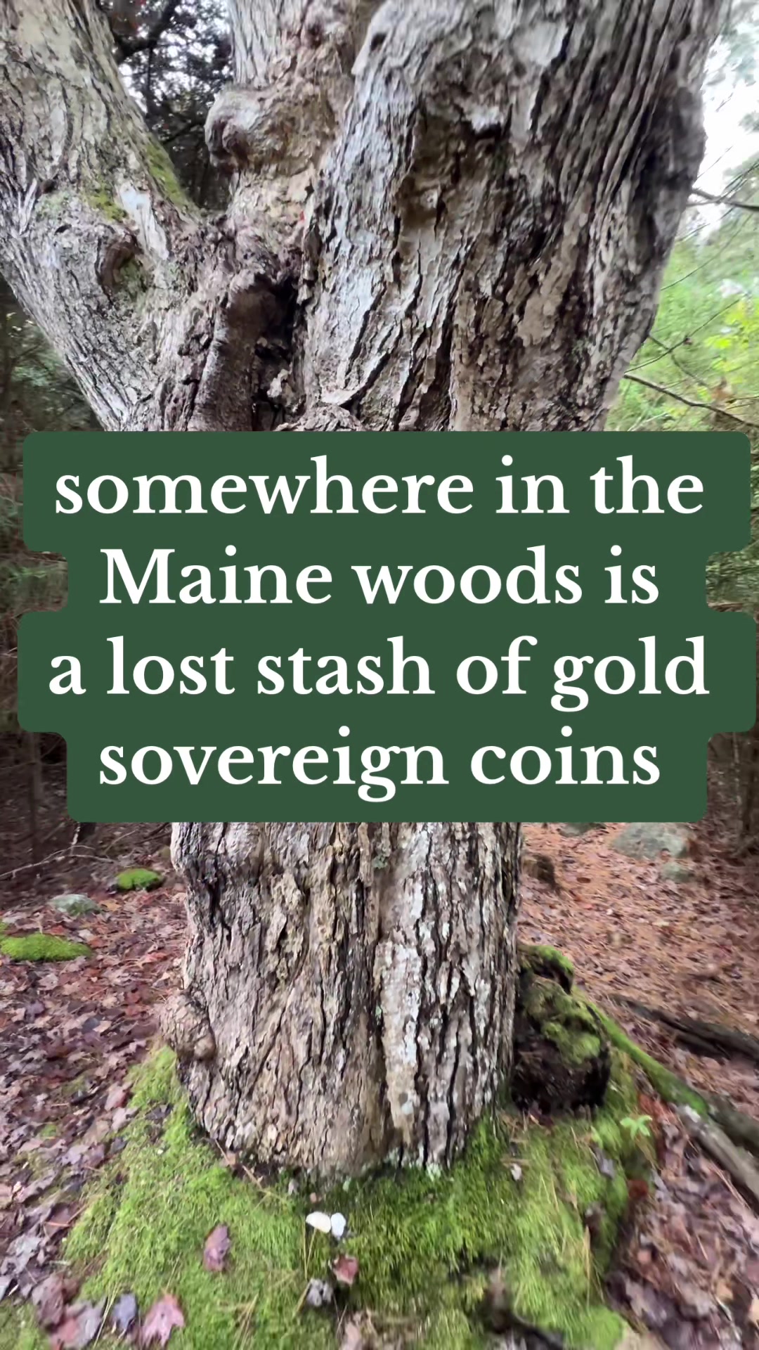 @a Maine man