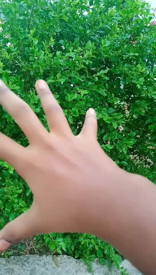 @Rinku