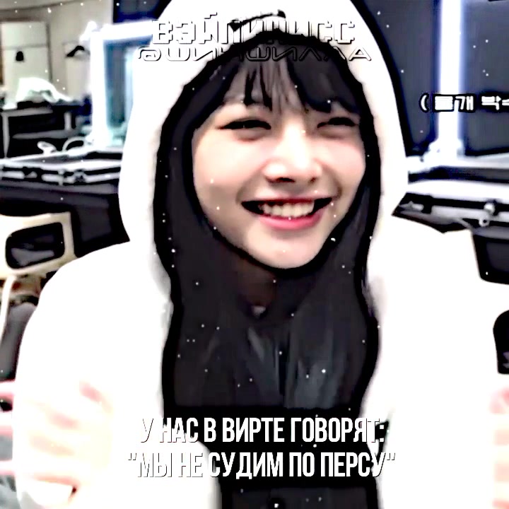 @✦ шиншилла »💄