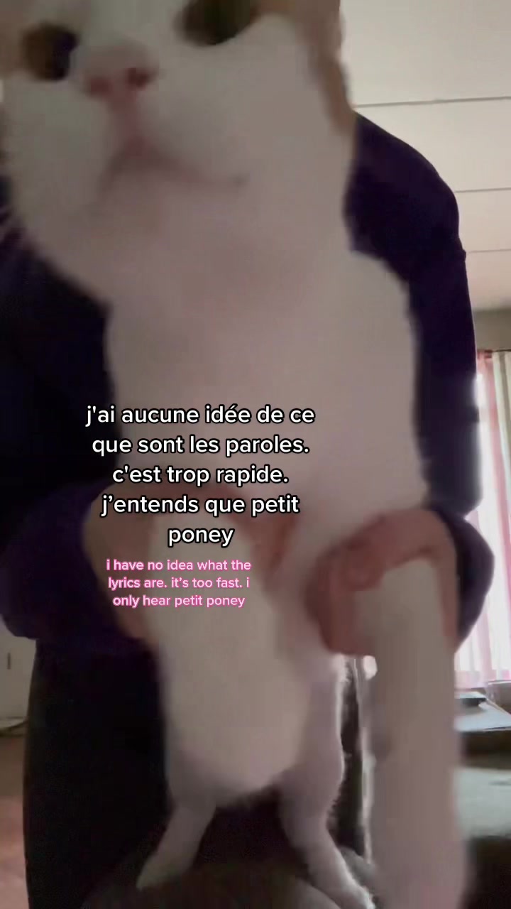 @niccolofish