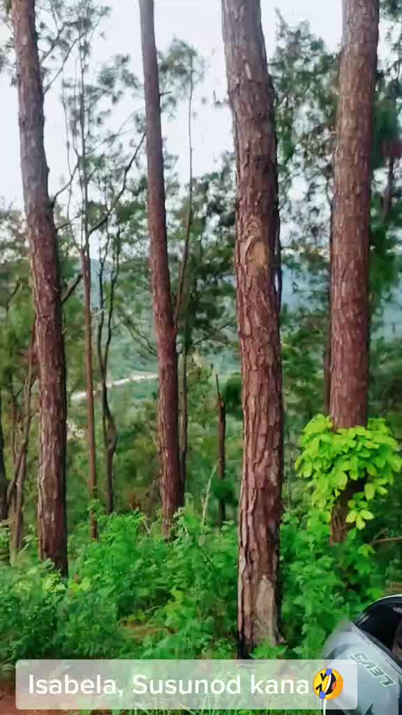 @Glen Albert