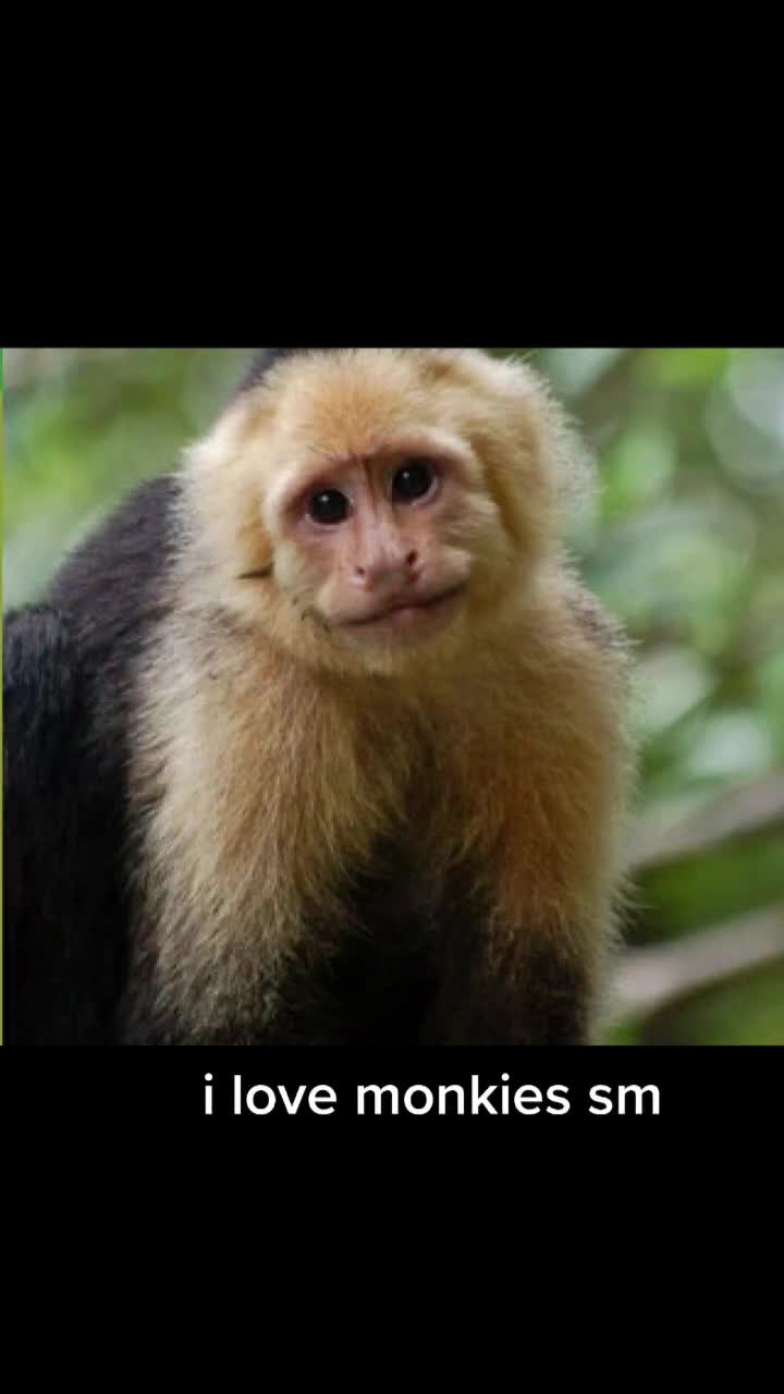 @amino 7\