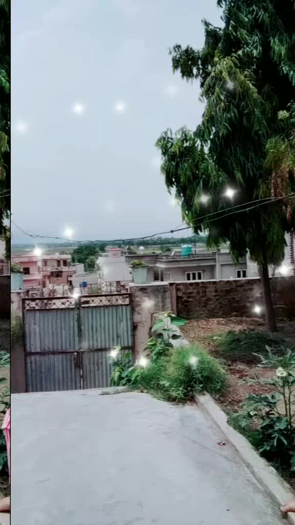 @payalarora66