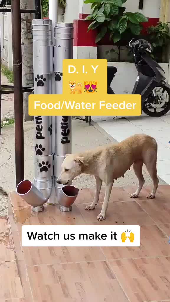 @petlanecebu