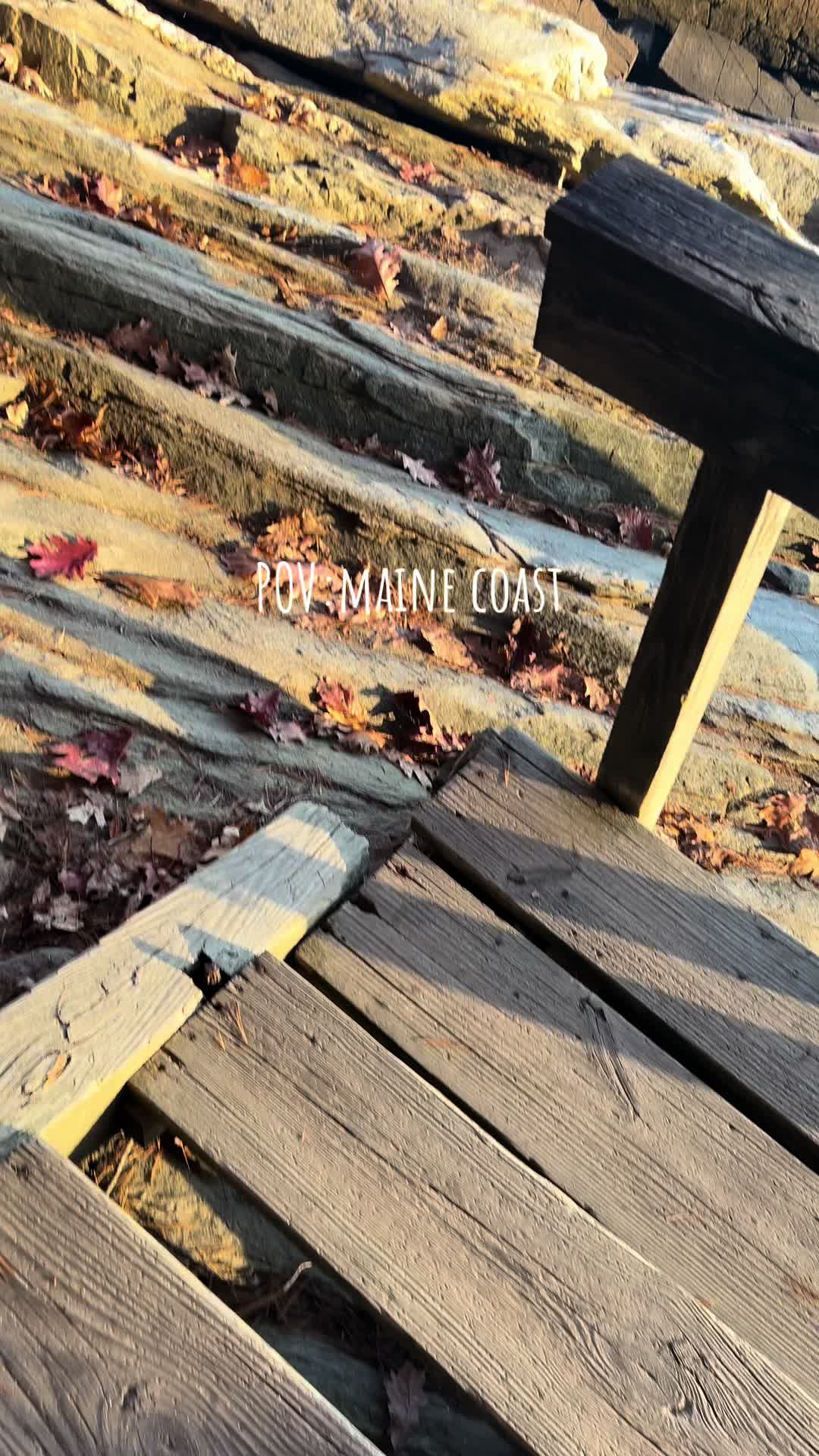 @acapandleotravel