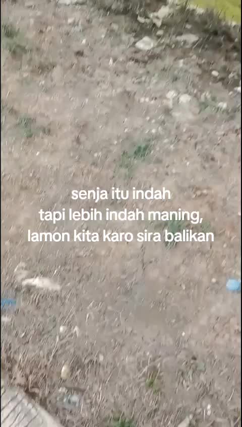 @tobrut