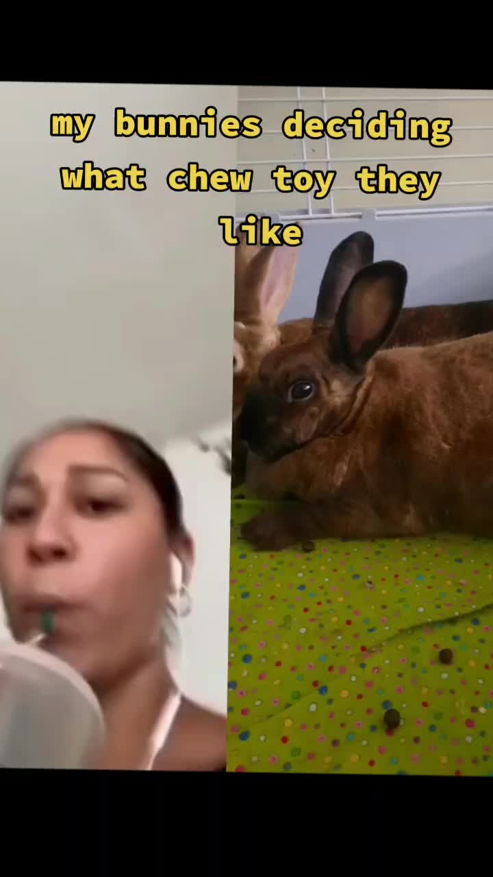 @Leo and Sarah 🐰🐰