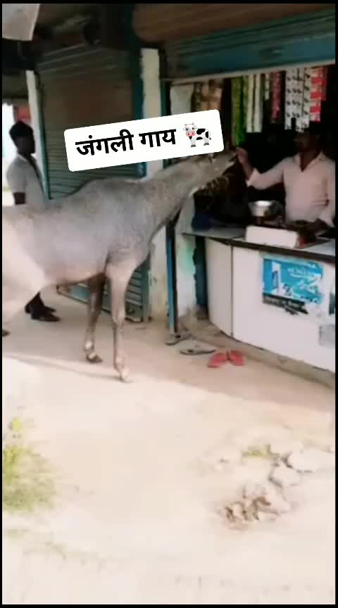 @BHATi`💪