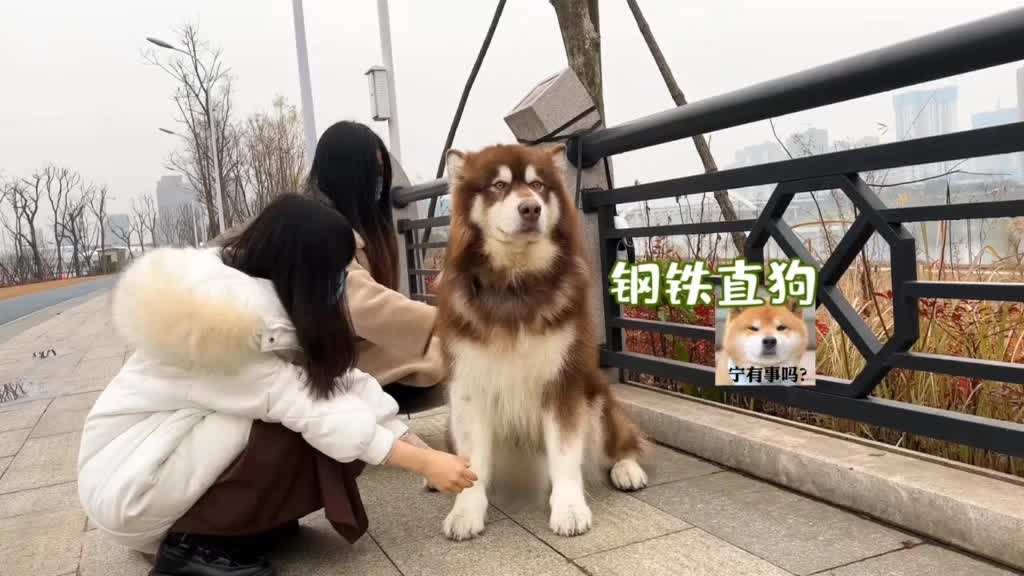 @ᴀʟᴏʀᴀ♡︎✨