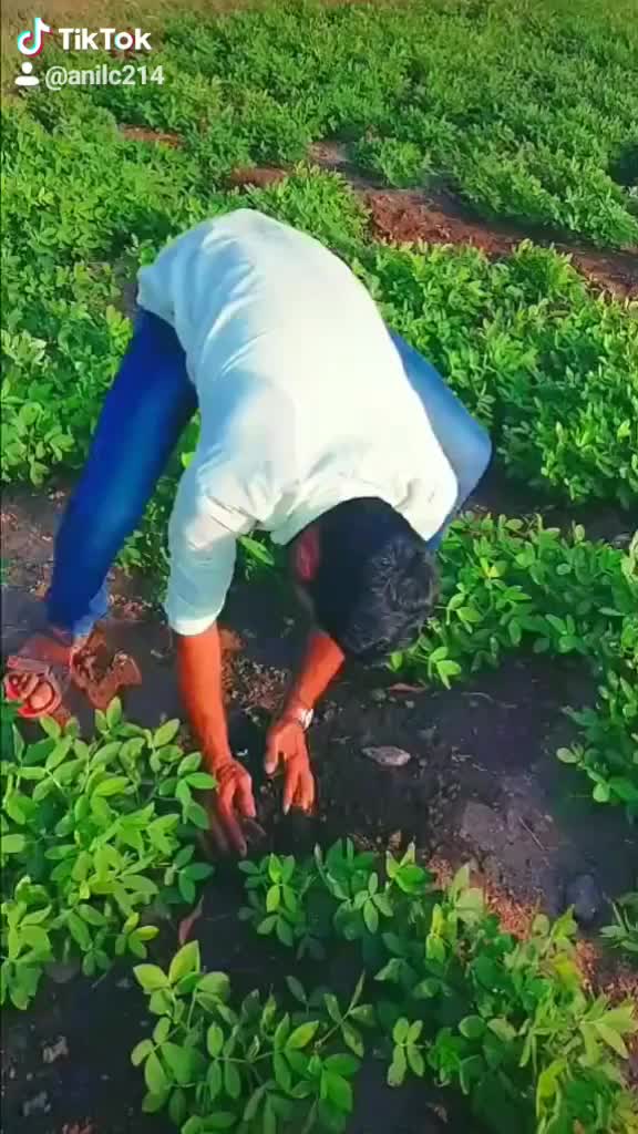 @Anil Chaudhari