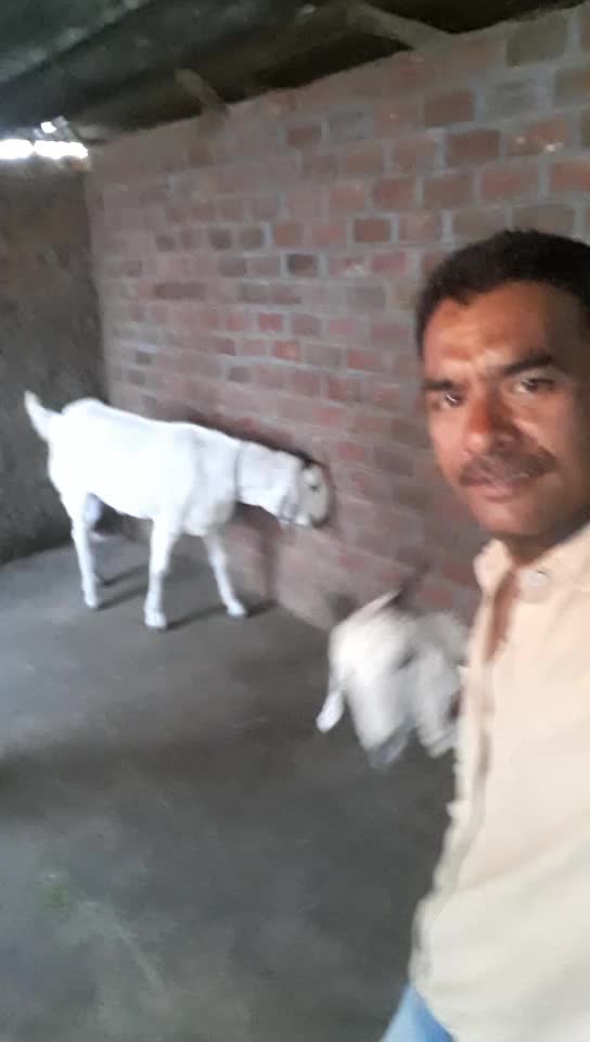 @jahir khan