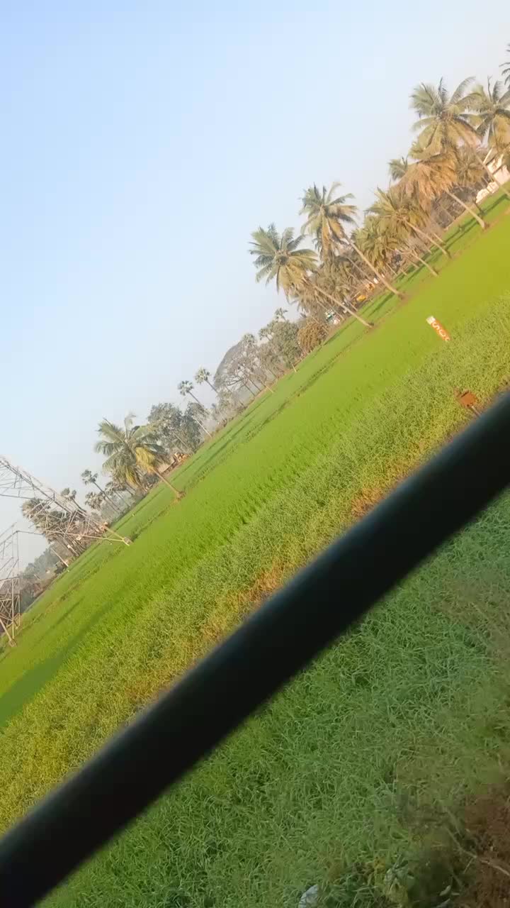 @user5169269400050