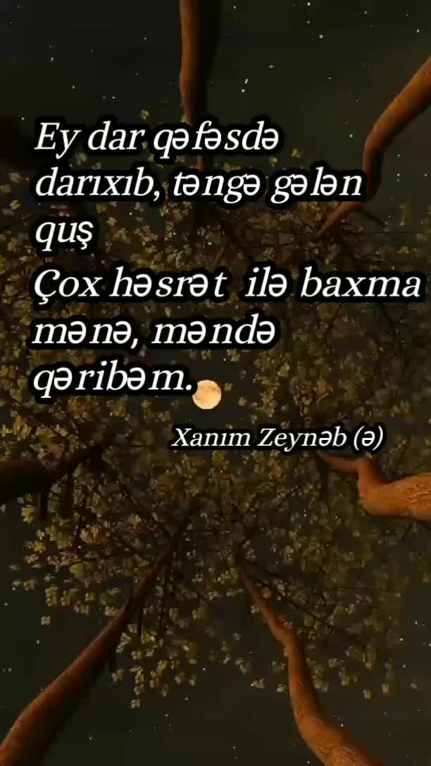 @𝚂ö𝚣𝚕𝚎𝚛í𝚗 𝙳ə𝚢ə𝚛í