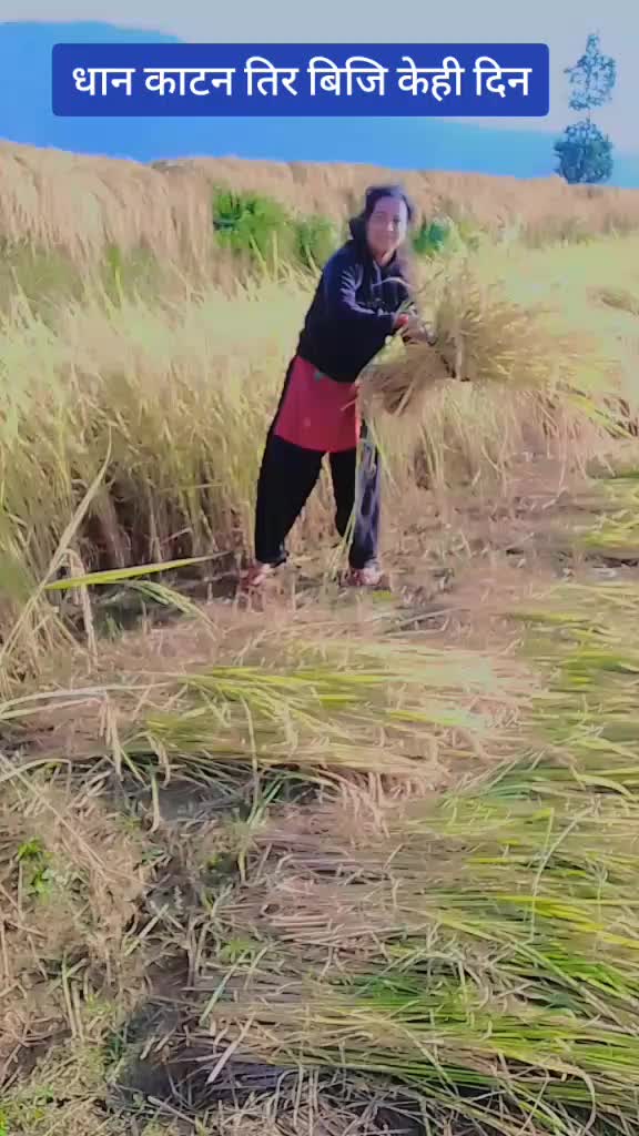 @dipak karki