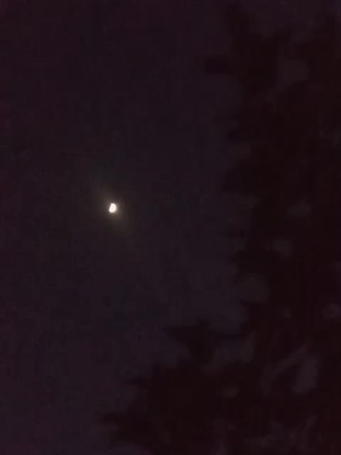 @kinjal