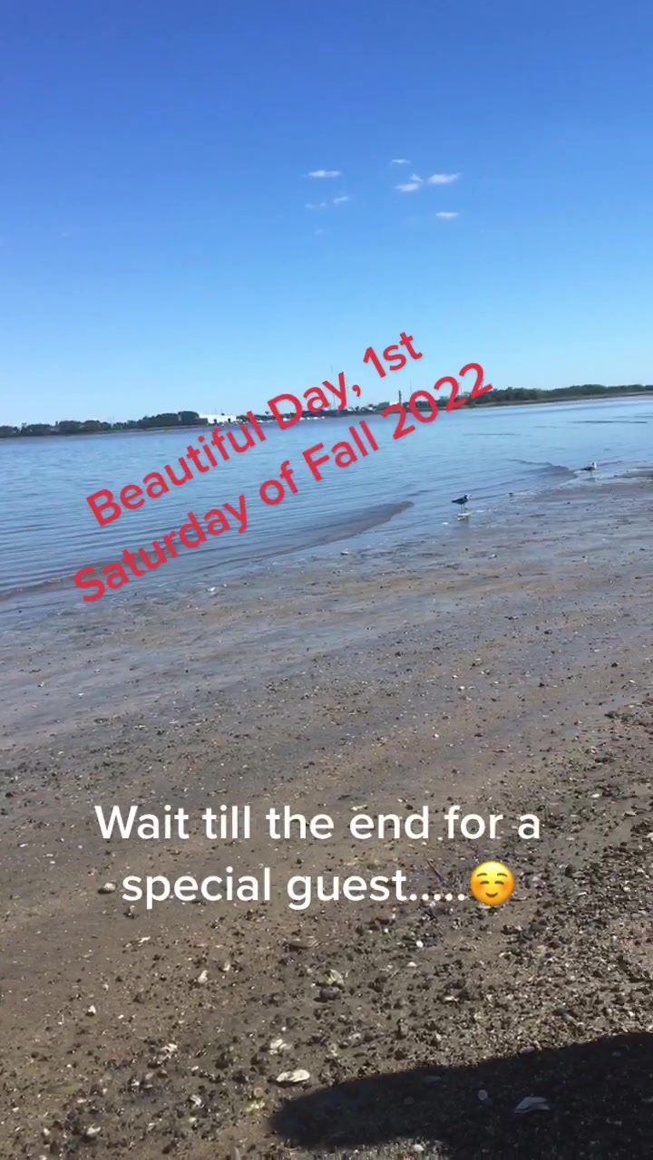 @SheButterflyU