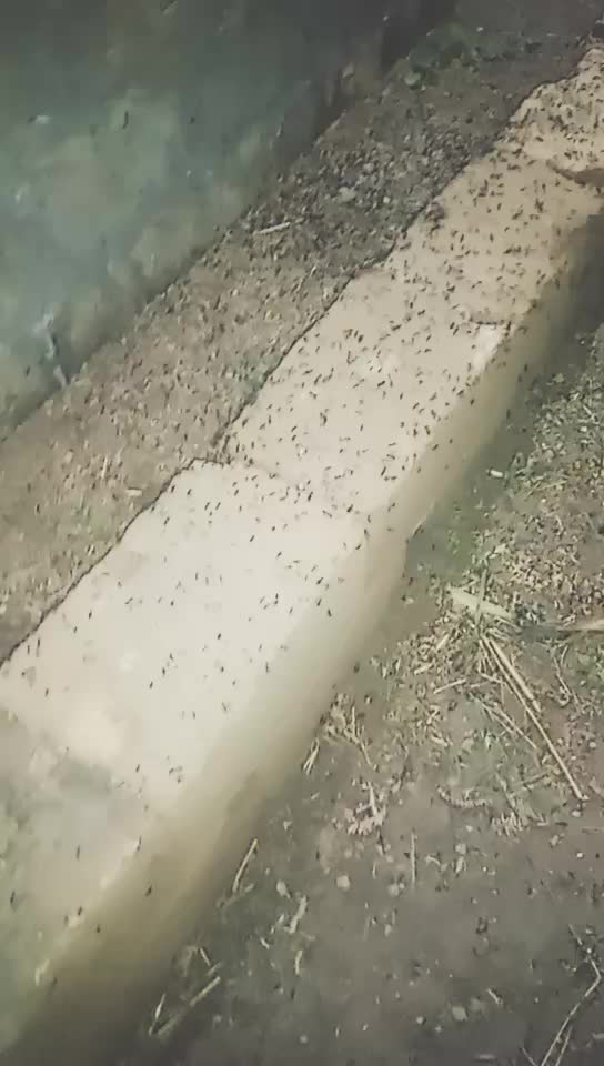 @Kanu Vadhiya