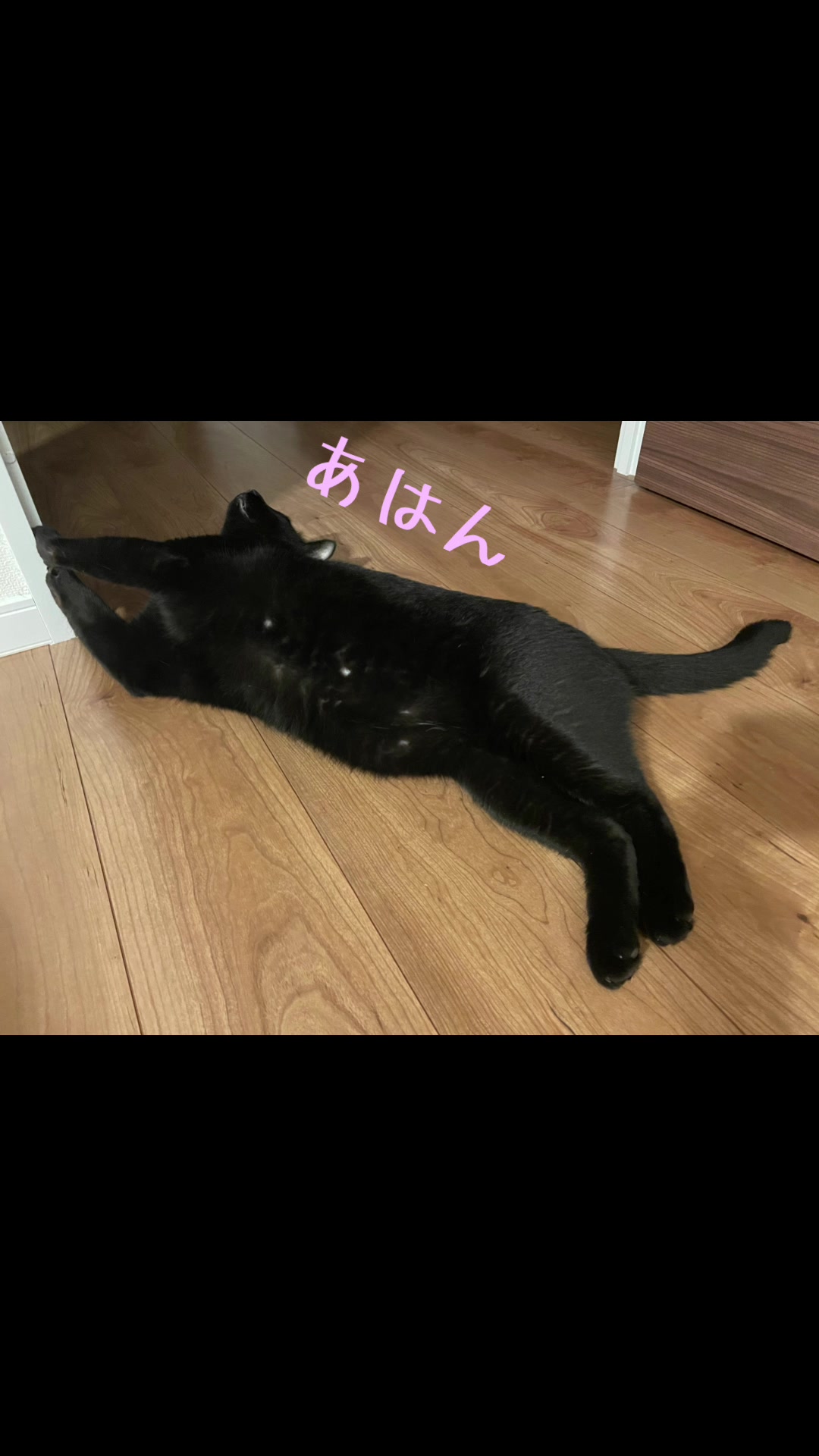 @Chikurokie