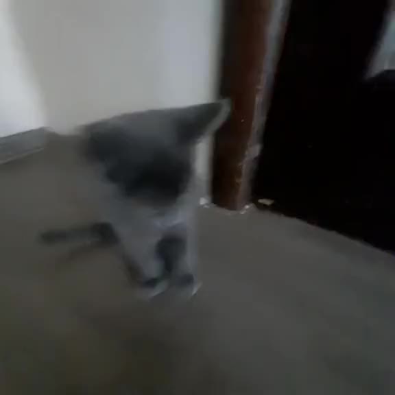 @хзхз