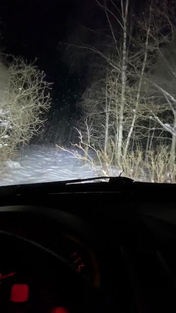 @Нелегальный TikTok