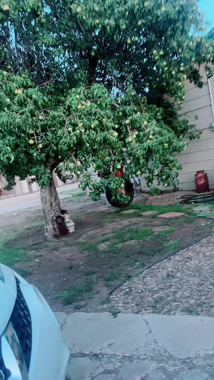 @Iv&aacute;n&ensp;Guti&eacute;rrez&ensp;657🇬🇹🍻🍻🖤🖤