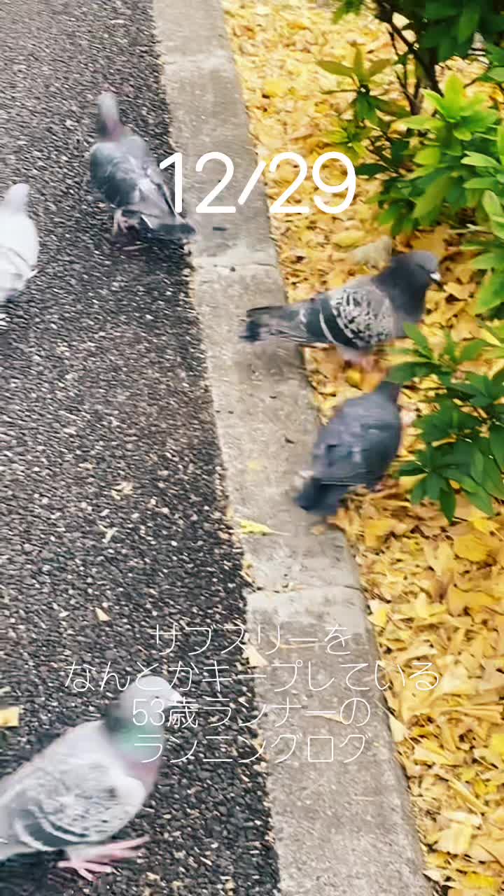 @キリオ