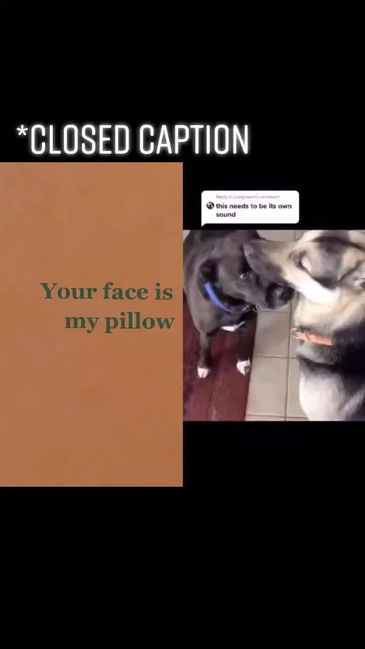 @oh_squirrel