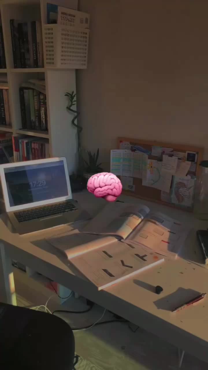 @Shans_kst_trener