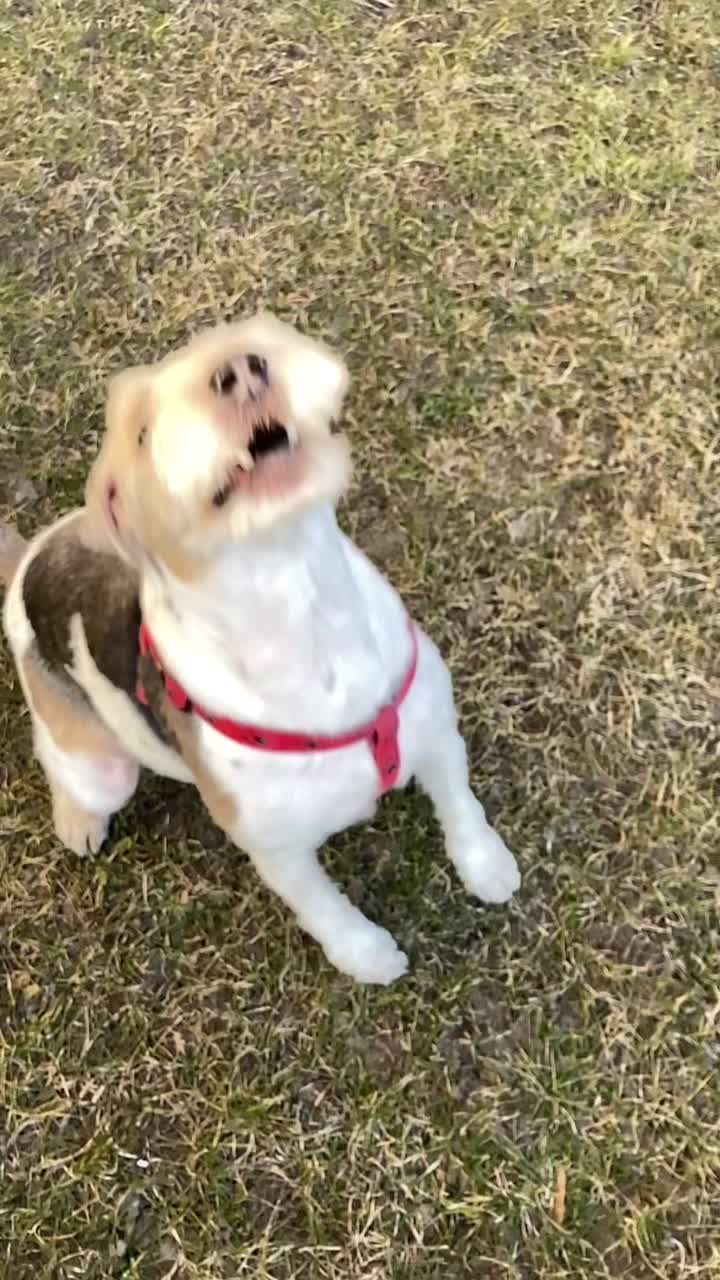 @𝐻𝑢𝑔𝑜