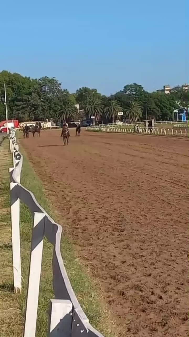 @Graciela Calderón