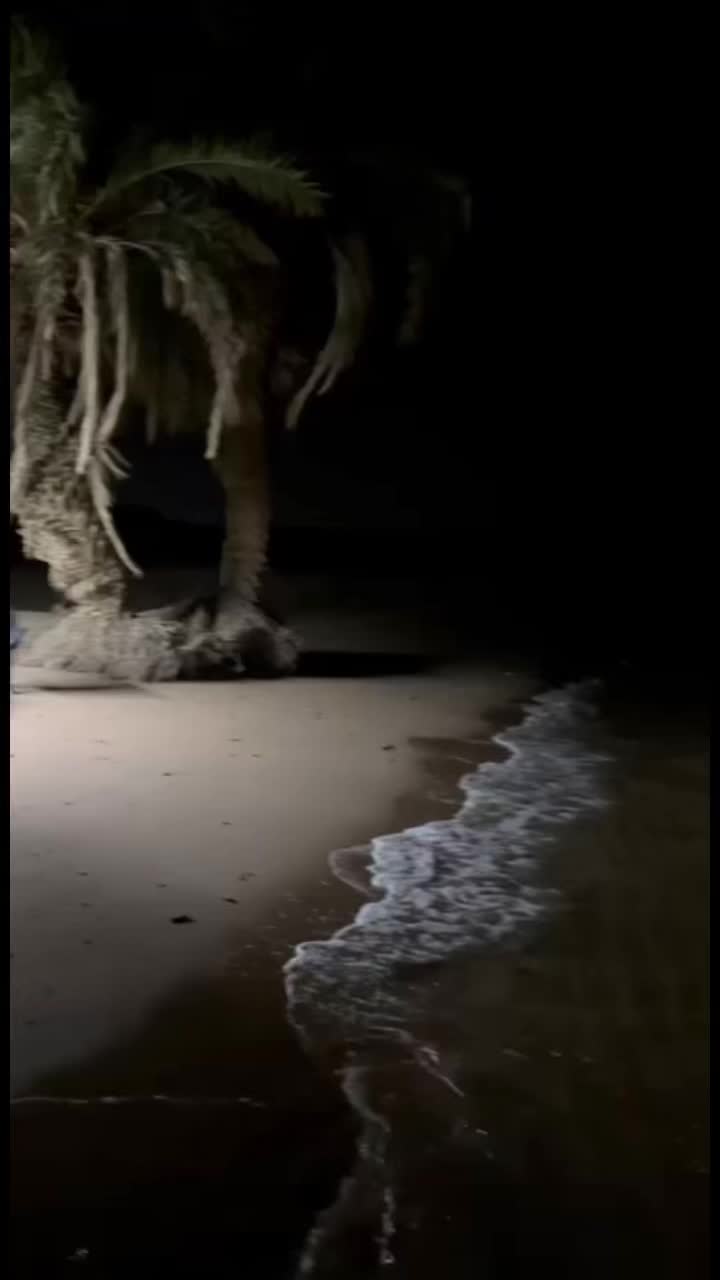 @مَنص.