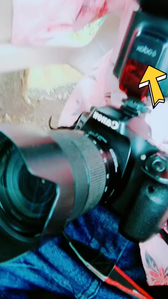 @Mr. Photographer📸