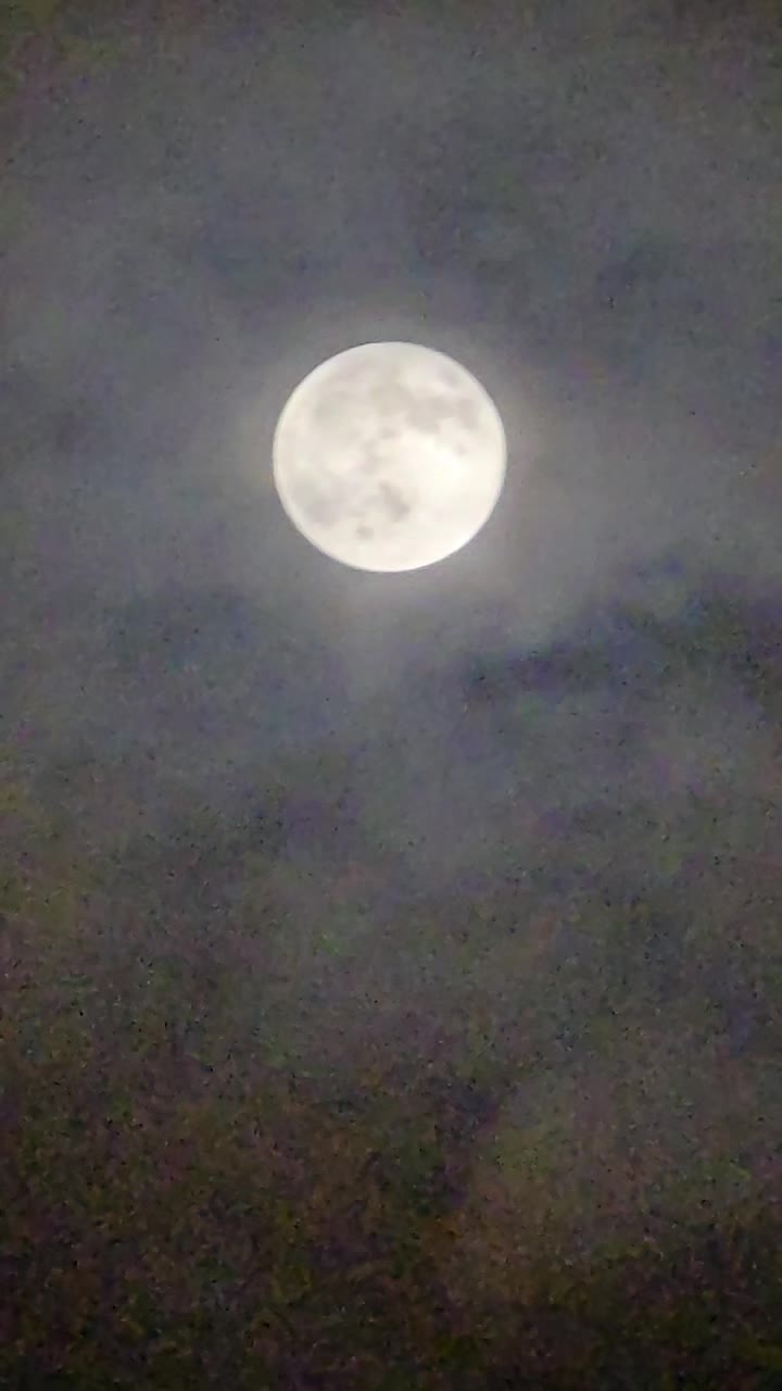 @j luis fuentes🇲🇽