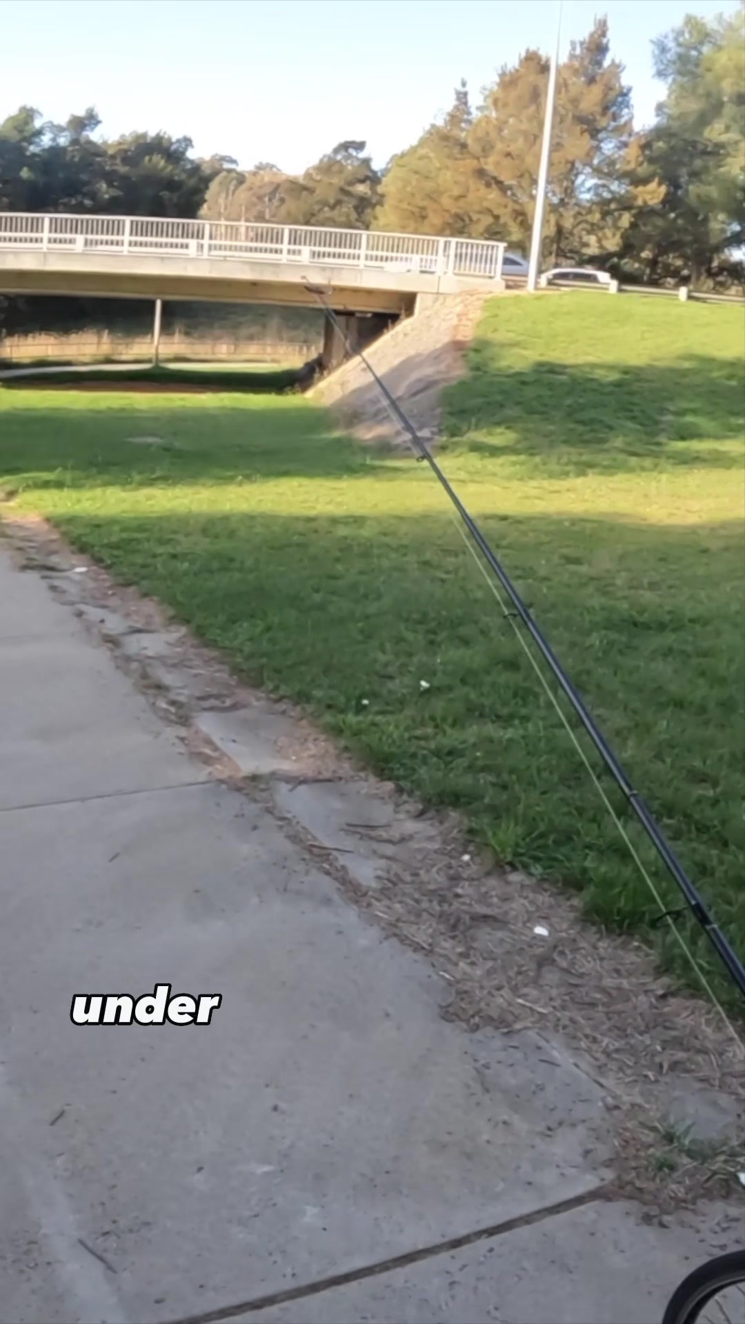 @BST Fishing