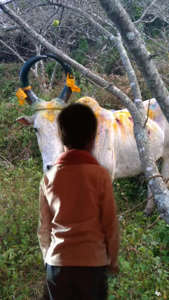 @ganesh mathi