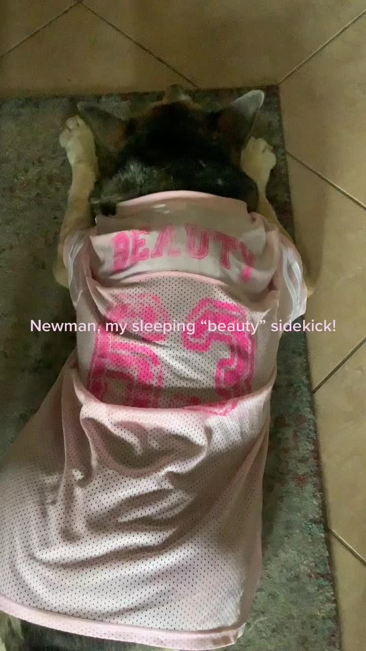 @p1nksteph