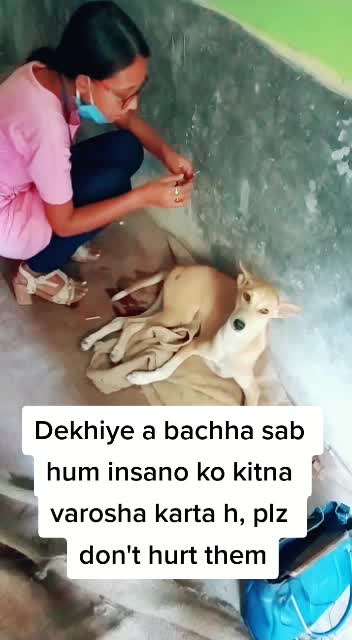 @Mahi Fouzder🐾😇