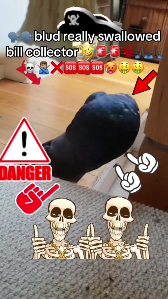@TheSniffer