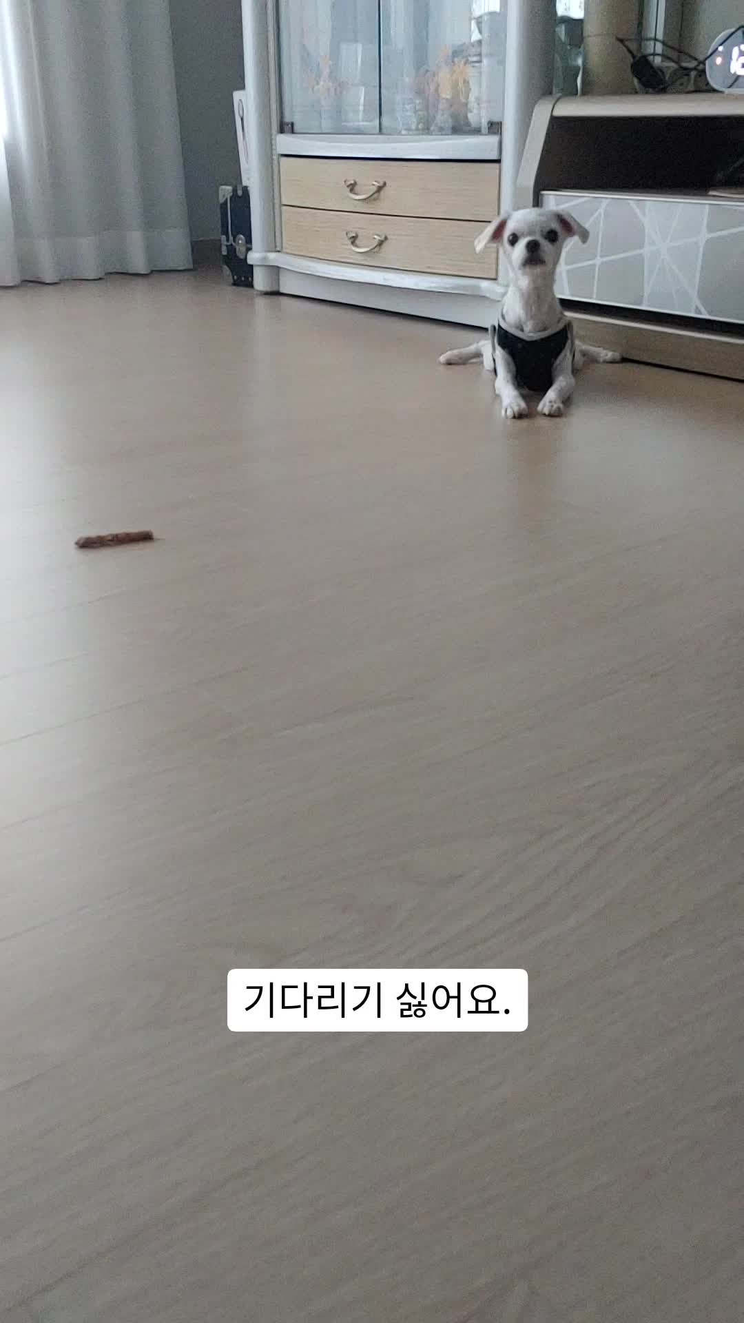 @경이씨