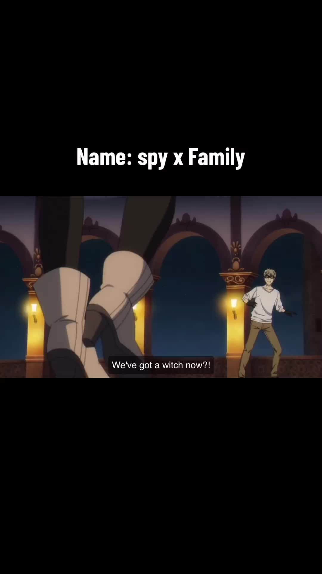 @anime holder