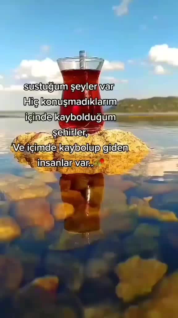 @Birdal Gencer
